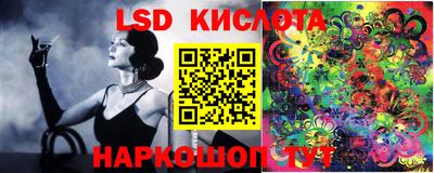 прущие грибы Ярославль