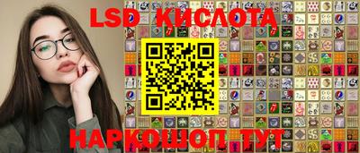прущие грибы Шелехов