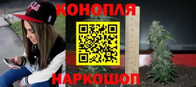 хмурый Абакан