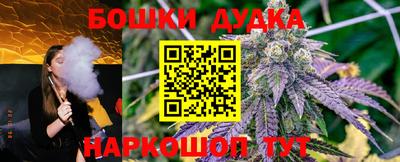 тгк Шебекино