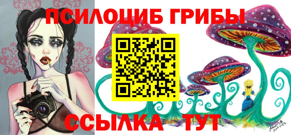 Галлюциногенные грибы Cubensis  Ангарск 