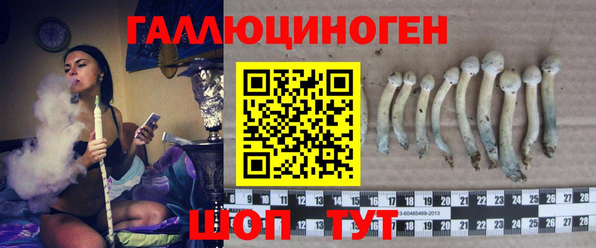 Псилоцибиновые грибы мухоморы Ангарск